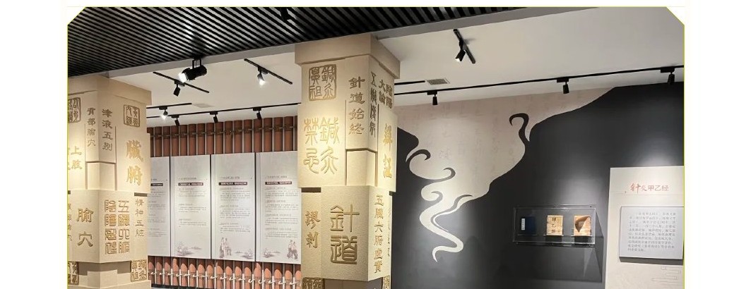 李志锋主讲针灸甲乙经